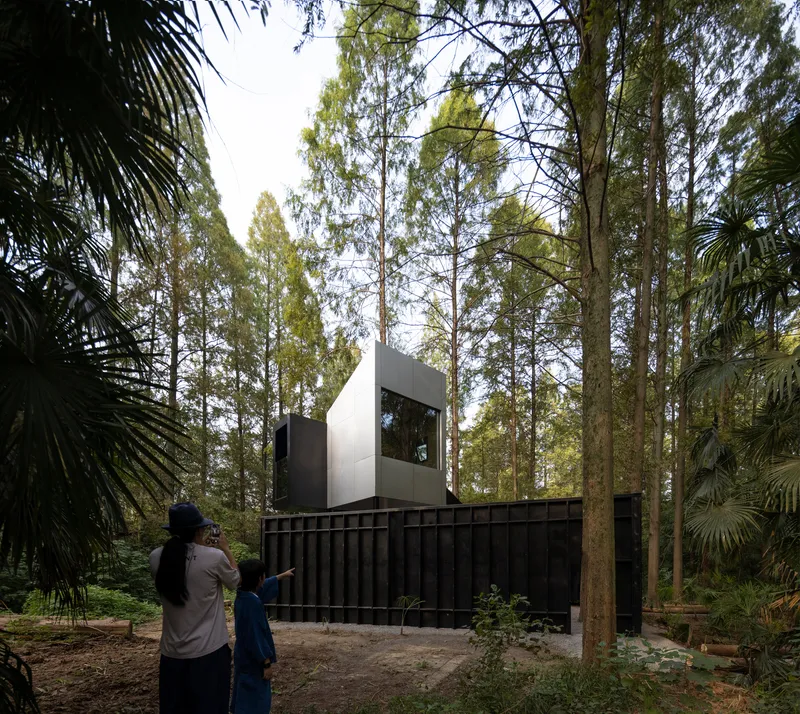 White volumetric upper storey cantilevered above a dark timber fence wall surrounded by tall eucalyptus and palm trees
