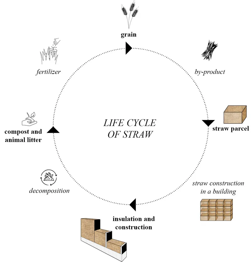 Diagram showing the life cycle of straw from grain harvest through construction to decomposition