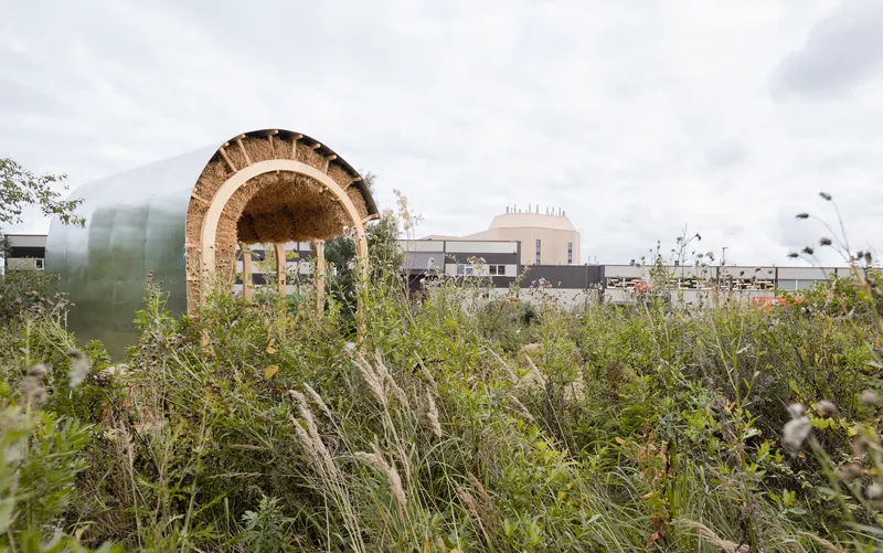 Arched straw bale gateway seen through wildflower meadow grasses on a cloudy day