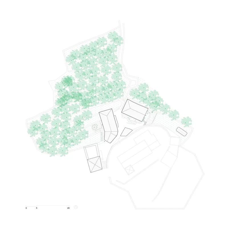 Site plan drawing showing building footprints surrounded by illustrated tree canopy coverage