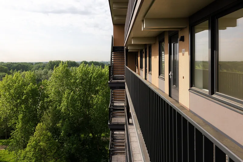 Upper floor balcony with vertical metal railings overlooking a dense green forest at dusk