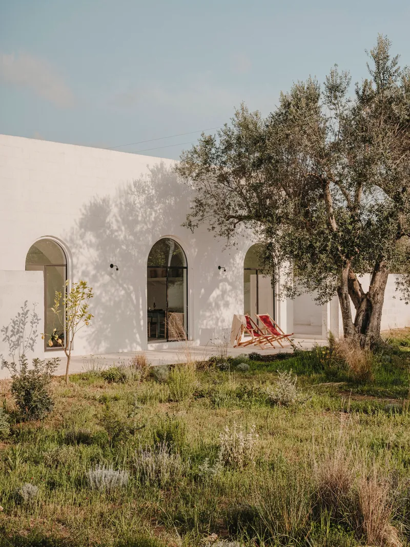 White facade with three arched glass doors casting shadows from an olive tree