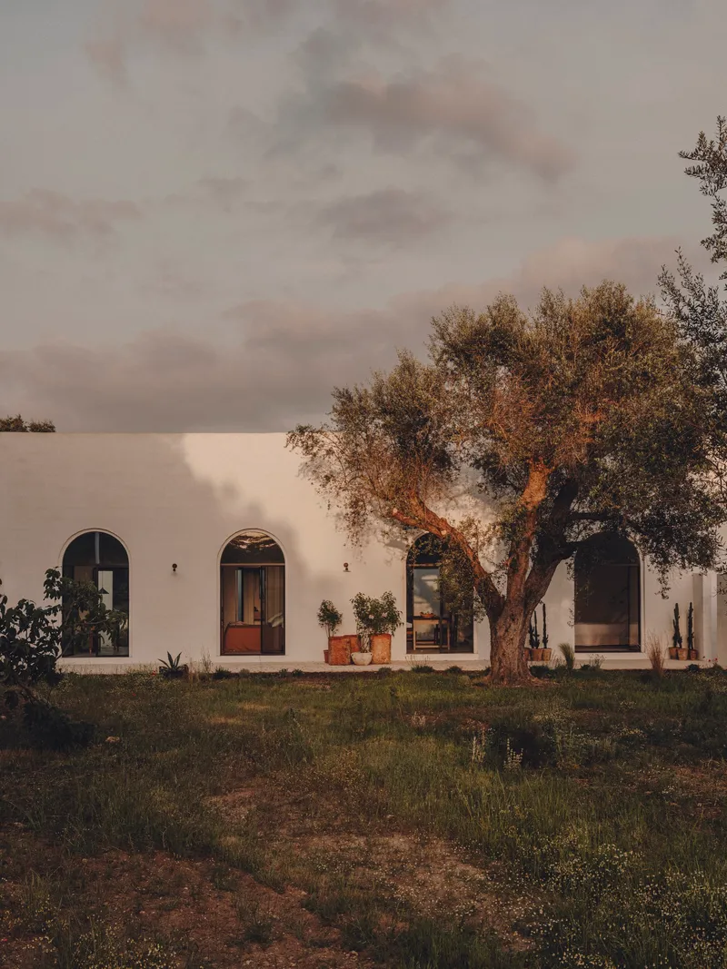 White stucco facade with arched openings and timber door beneath an olive tree at dusk