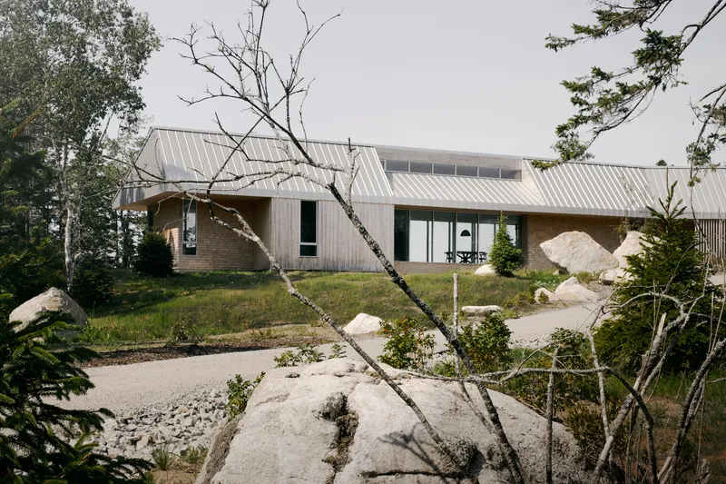 Low-slung metal roof stretching across the landscape with a bare birch in the foreground