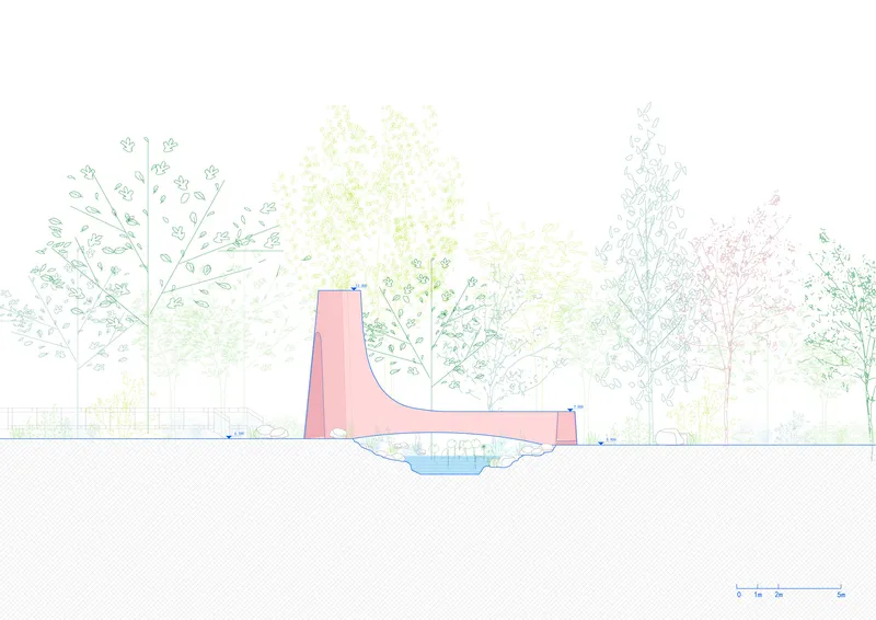 Section drawing illustrating the underground water basin below the pink pavilion structure and tree canopy