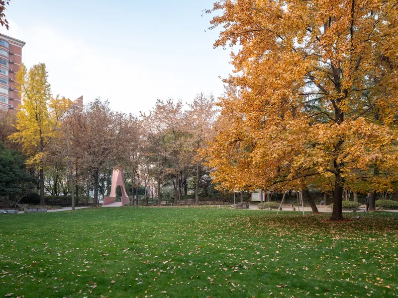 Pink sculptural form visible across the park lawn under golden autumn trees at dusk