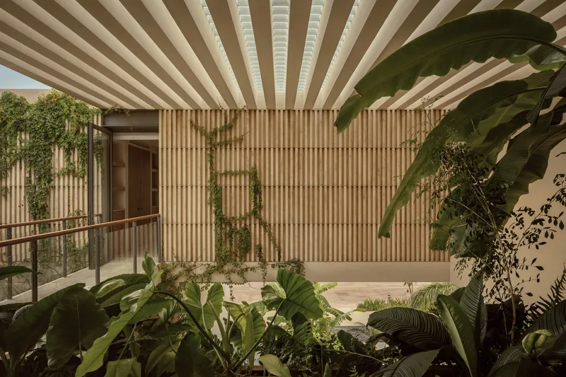 Interior courtyard framed by timber slat screen wall beneath a slatted canopy with banana leaves