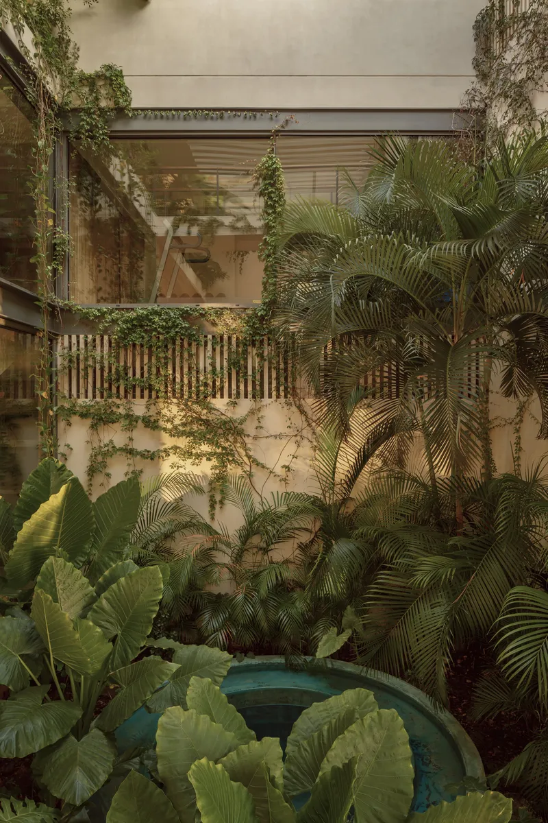 Planted courtyard with teal plunge pool surrounded by palms and banana trees at dusk