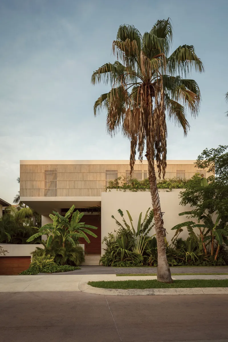 Entry view framed by a mature palm with horizontal timber screen volume above tropical plantings