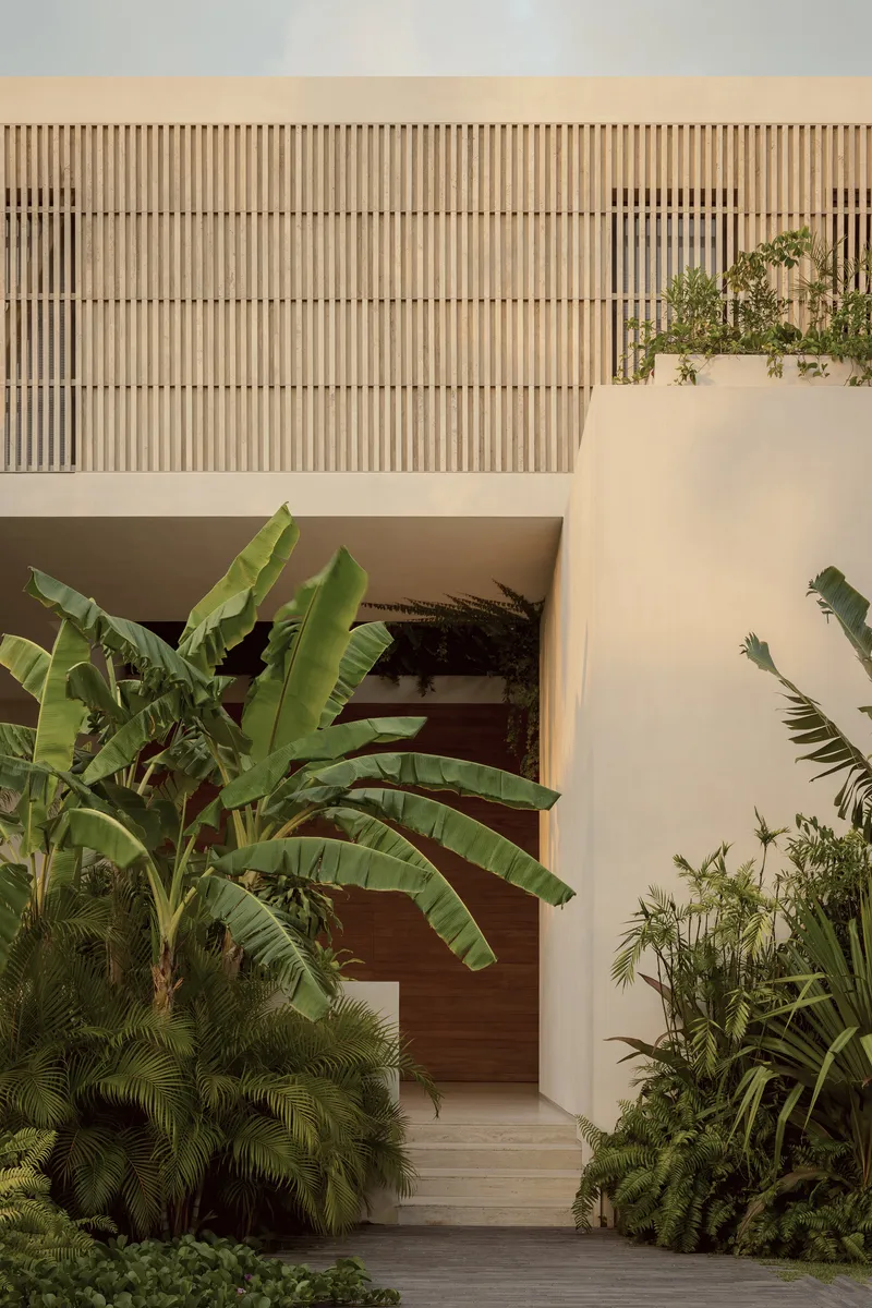 Entry courtyard with timber slatted screen above white stucco walls and tropical planting including banana leaves