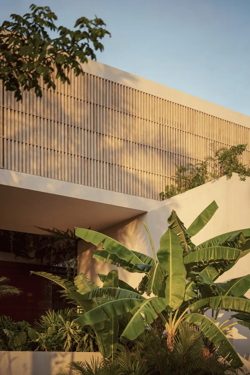 Upper level timber screen facade catching evening light with banana plants and foliage below