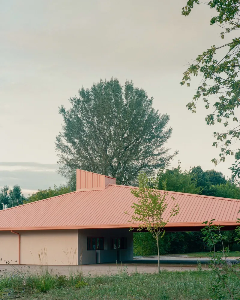 Facade with pink metal cladding and timber-framed openings beneath a large poplar tree at evening