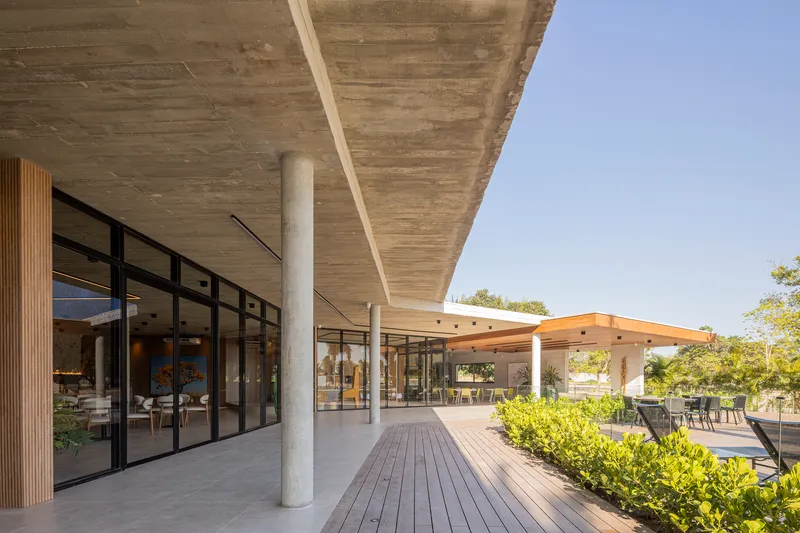 Board-formed concrete soffit extending over timber deck with cylindrical concrete columns and glazed facade