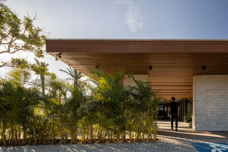 Entry approach with limestone wall and timber soffit framed by planted palms in sunlight