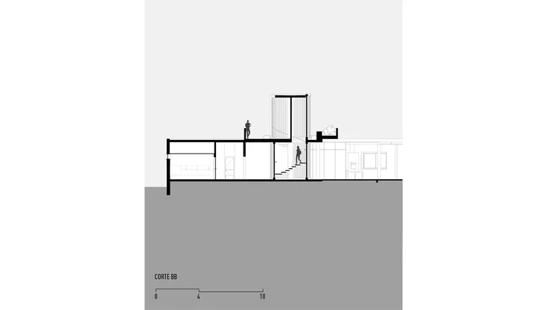 Section drawing showing split level interior volumes and central tower element rising above