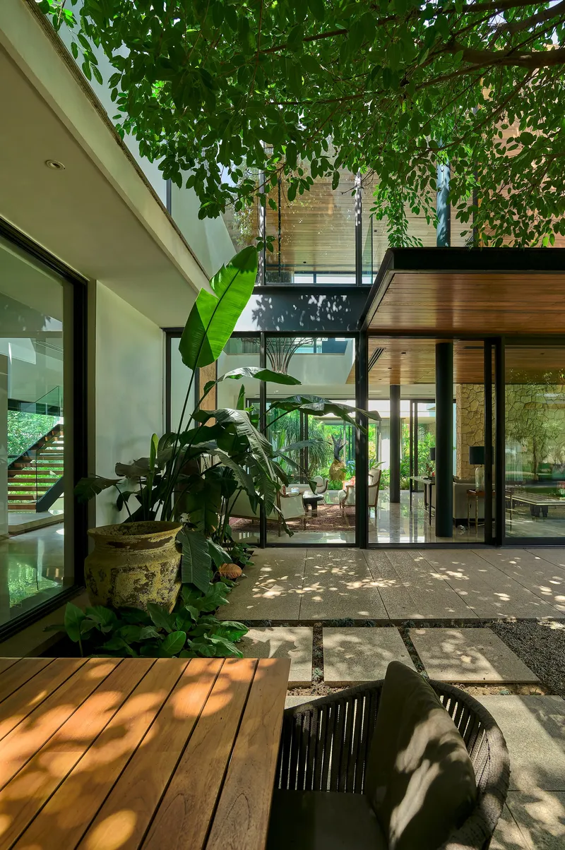 Internal courtyard with timber deck and stone pavers beneath tree canopy filtering dappled sunlight