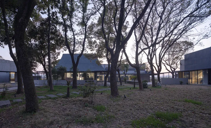 Illuminated glass walls of the pavilion visible through bare tree trunks at dusk