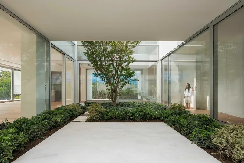 Interior courtyard with mature tree centered in planted beds flanked by floor-to-ceiling glazing