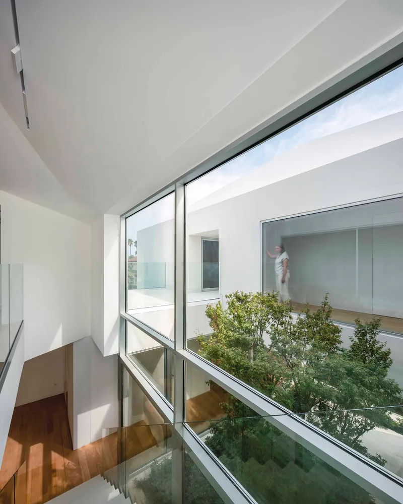 Stairwell with timber treads and glass balustrade overlooking the planted courtyard through full-height glazing