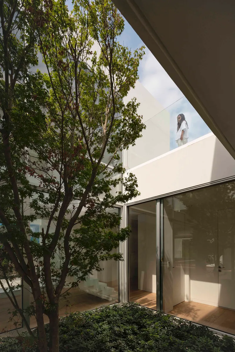 Interior courtyard with multi-stem tree framed by sliding glass walls and upper-level terrace with figure standing