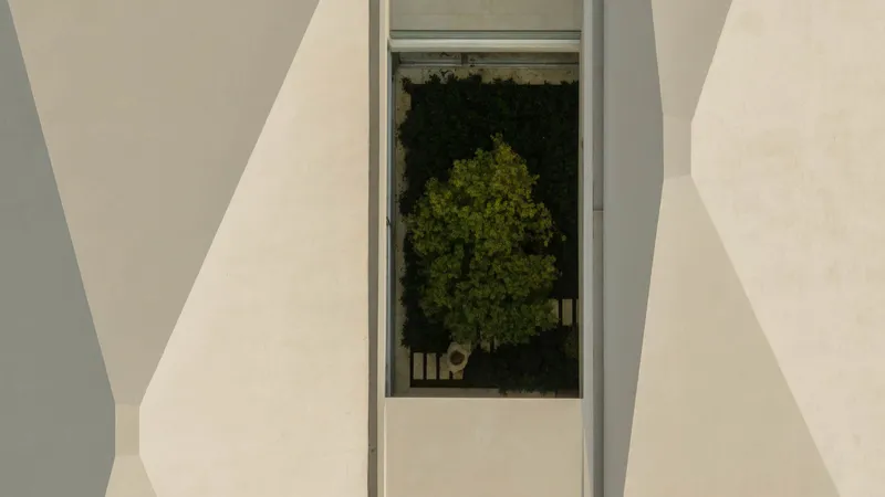 Narrow vertical window framed by curved white walls revealing a tree in the interior courtyard