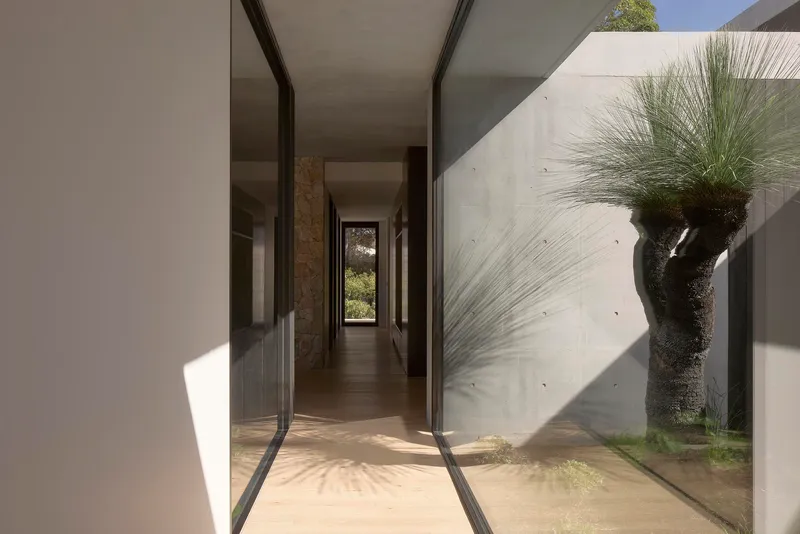 Glazed corridor with concrete walls and native grass tree casting shadows in afternoon sun