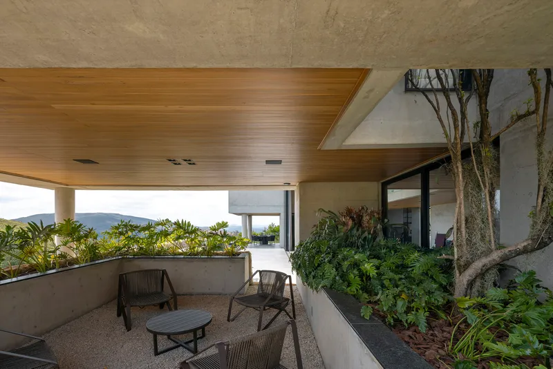Covered terrace with planted bed, tree trunk, and timber ceiling opening to distant hills