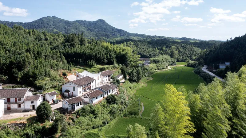 Cluster of whitewashed buildings with clay tile roofs seen from above with green rice fields and mountains beyond