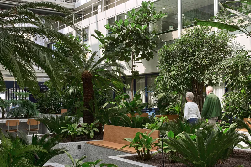 Interior garden with dense tropical planting and two people walking past timber benches and concrete planters