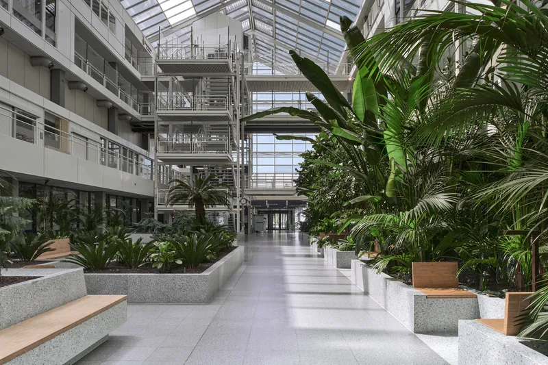 Interior atrium corridor with concrete benches, planted palms and glazed roof overhead