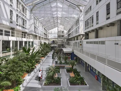 Bureau Ira Koers and Studio Roelof Mulder Transform a 1980s Dutch Hospital into an Indoor Jungle