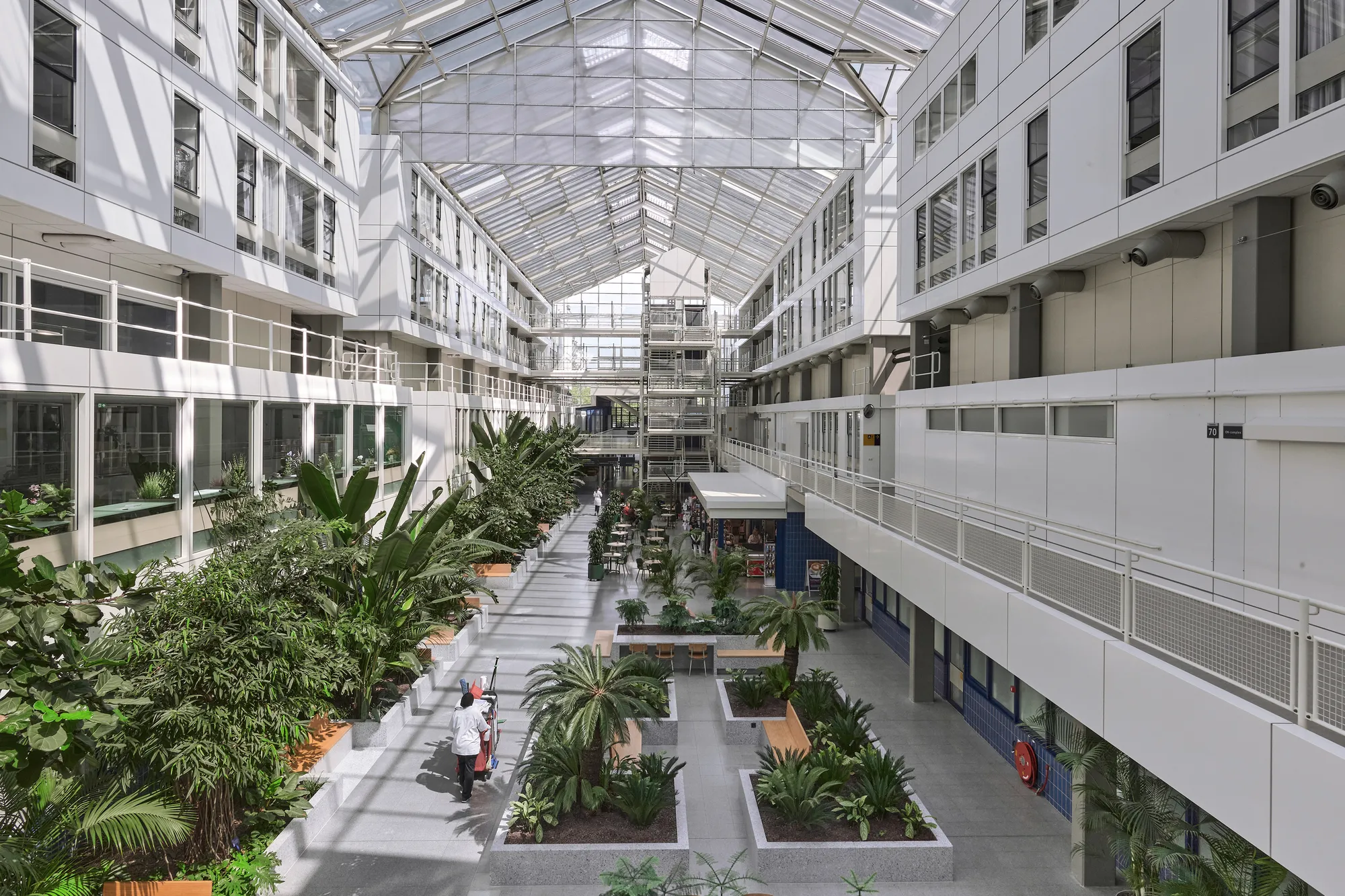 Bureau Ira Koers and Studio Roelof Mulder Transform a 1980s Dutch Hospital into an Indoor Jungle