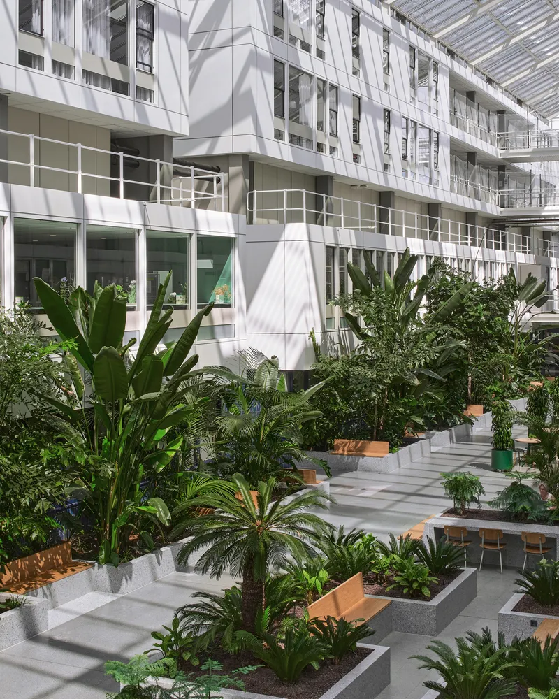 White facade balconies with shadows cast across planted beds of palms and tropical foliage