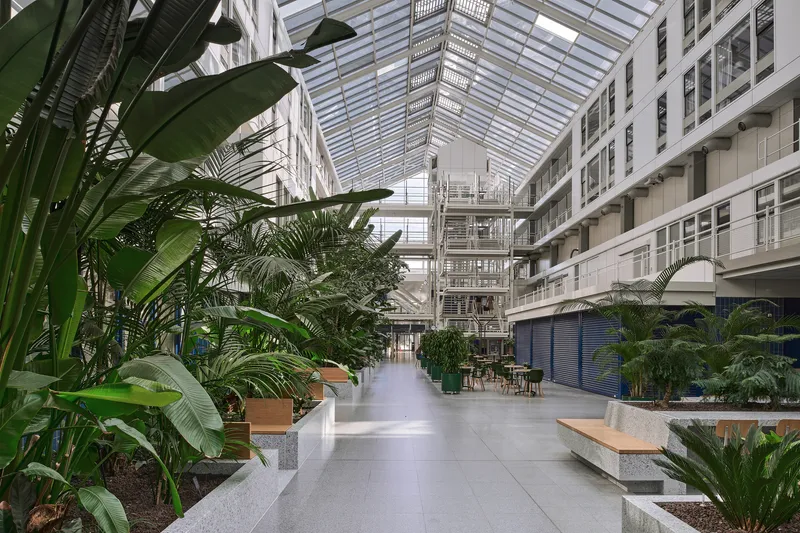 Glazed atrium circulation path flanked by planters with banana leaves and palm trees