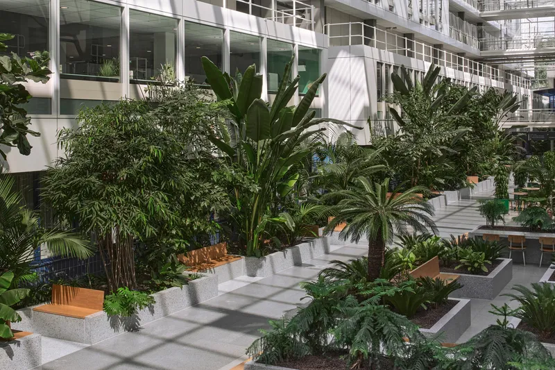 Stepped concrete planters with palms casting dappled shadows across paved atrium floor