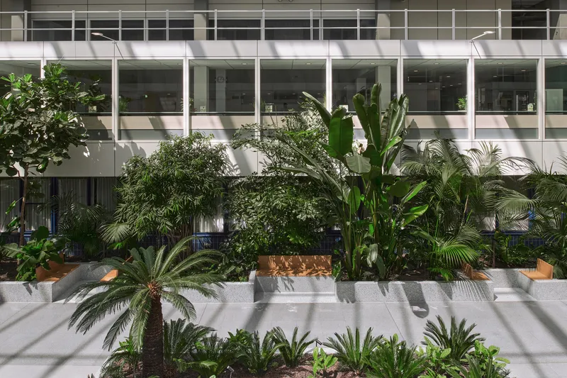 Dense tropical planting bed with palms and ferns beneath glazed office facade