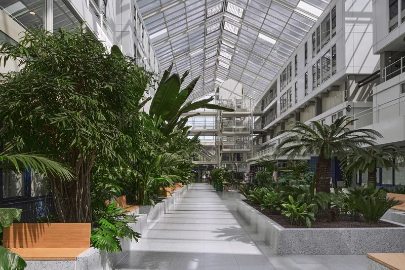 Central circulation pathway through planted beds with palms and tropical foliage under a glazed atrium roof
