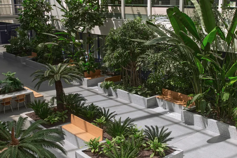 Terraced planting beds with timber benches and tropical plants casting dappled shadows on the floor