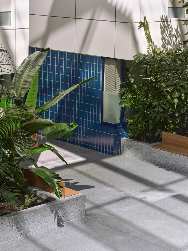Blue mosaic tile facade panel with operable window surrounded by palms and plant shadows