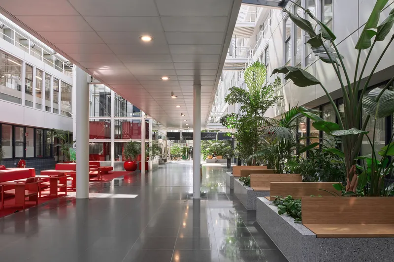 Interior corridor with white columns, suspended ceiling panels, and planters with red seating beyond glazed walls