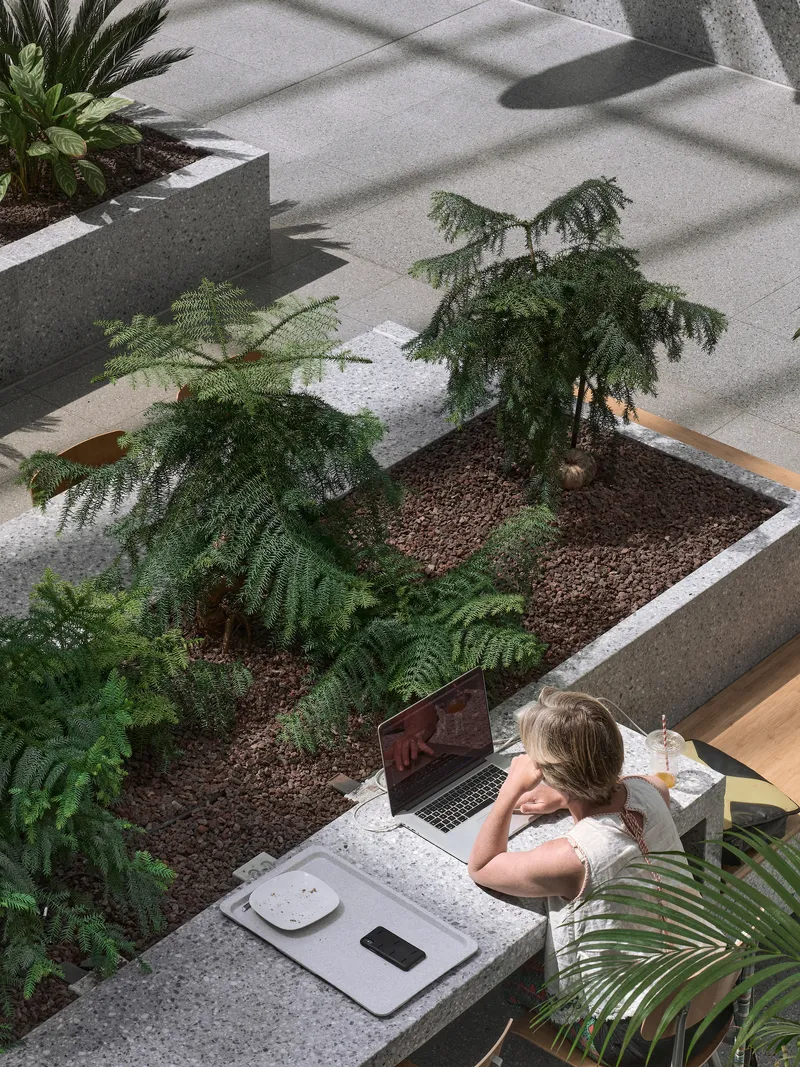 Person working at a concrete bench integrated into a planted bed with ferns and palms
