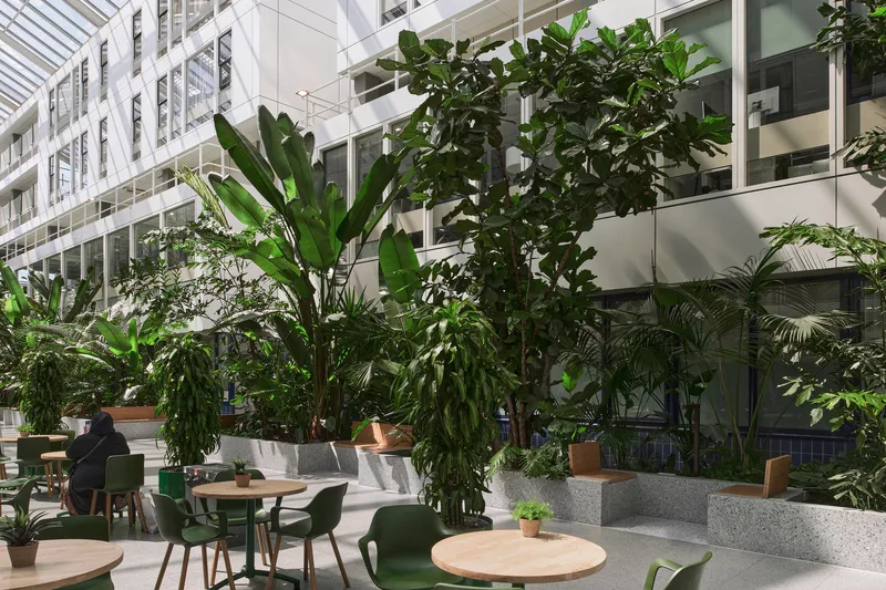 Interior atrium with round timber tables surrounded by potted tropical plants and glazed facade beyond