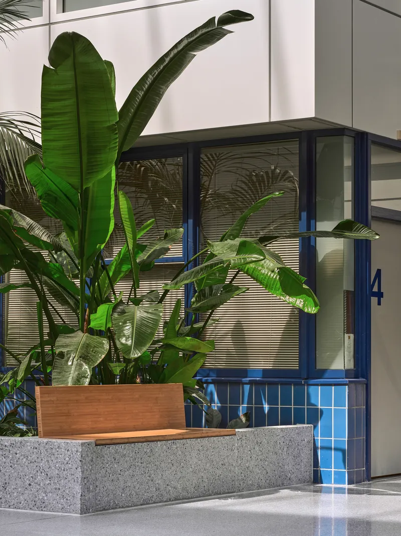 Concrete planter with timber bench backing against blue-tiled column and glazed storefront with blinds