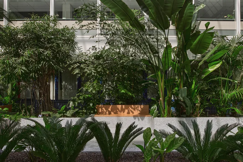 Timber bench set into concrete planter with banana palms and bamboo in dappled sunlight