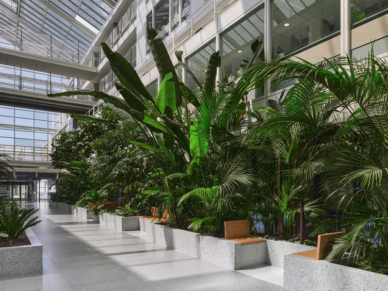Central circulation corridor flanked by stepped concrete planters with palms under a glazed atrium roof