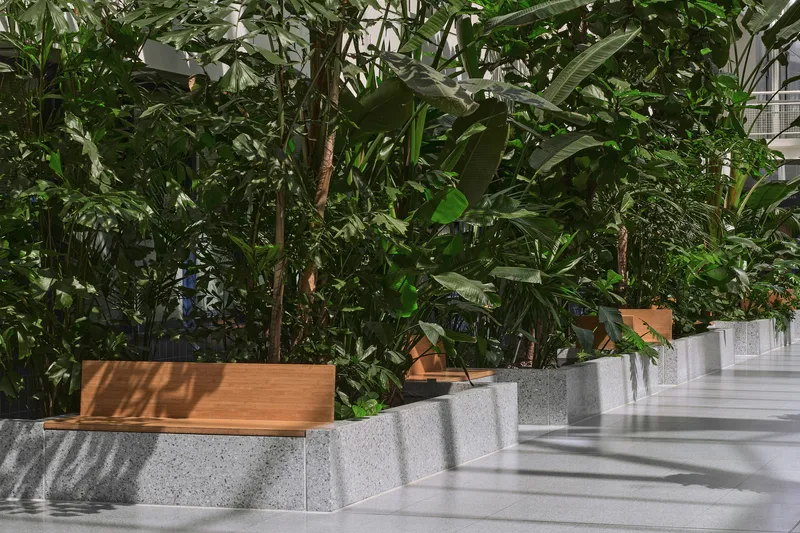 Terrazzo planter with timber coping and tropical foliage beneath dappled sunlight