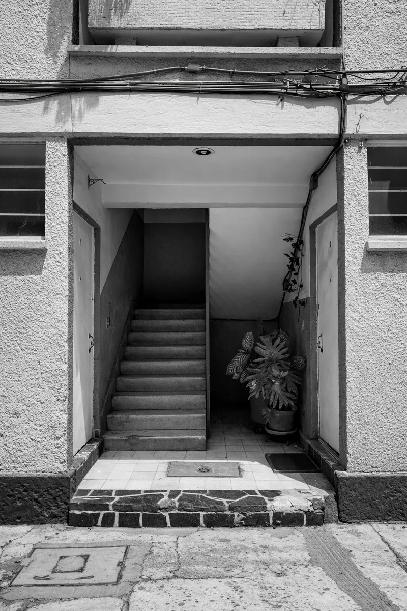 Recessed entry with stone threshold, concrete stairs and potted plant beside textured stucco facade