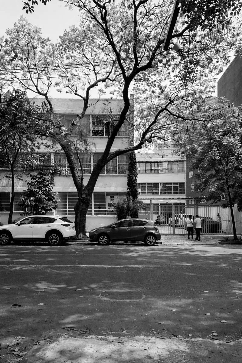Street view of the horizontal band window facade framed by mature trees and parked cars