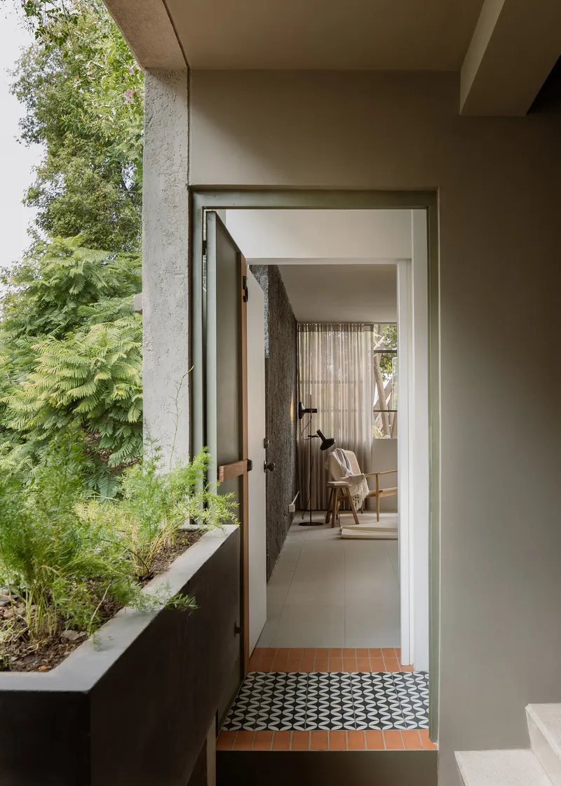 Open doorway framed by a planted bed with ferns leading to an interior threshold