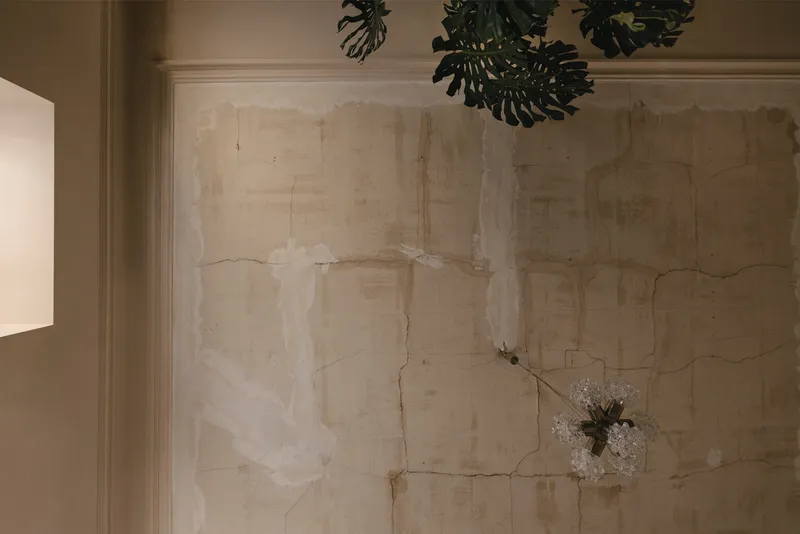 Textured plaster wall with visible cracks and remnants of earlier finishes beneath decorative leaves